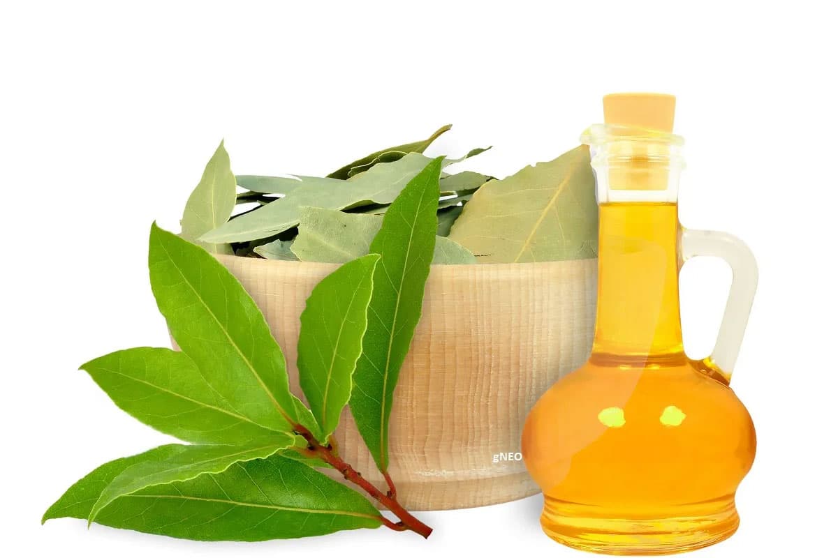 Laurel Oil