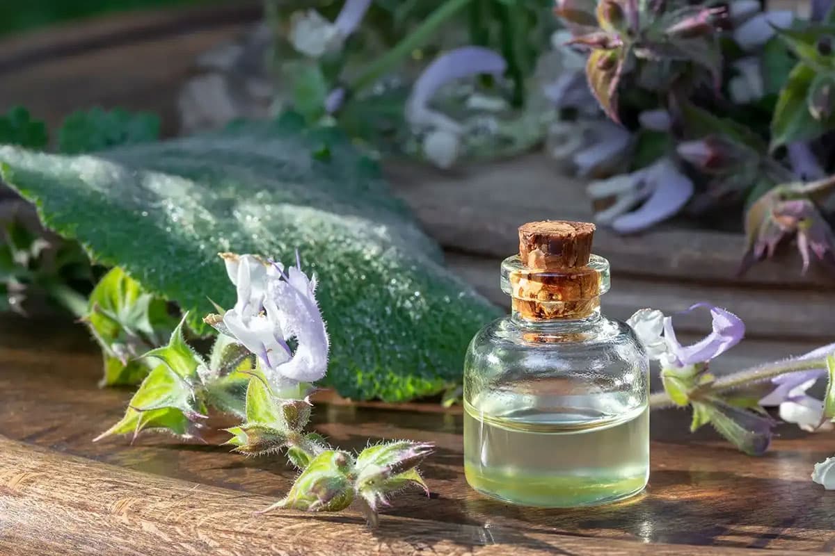 Sage Oil